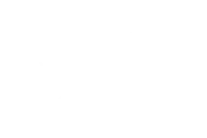 ville_quebec_blanc_1